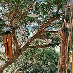 Shambala House-where Mountains Meet The Sea Holiday home Pomos