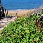 Holiday home Shambala House-where Mountains Meet The Sea Pomos